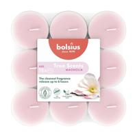 Bolsius geurtheelichten 18st magnolia - thumbnail