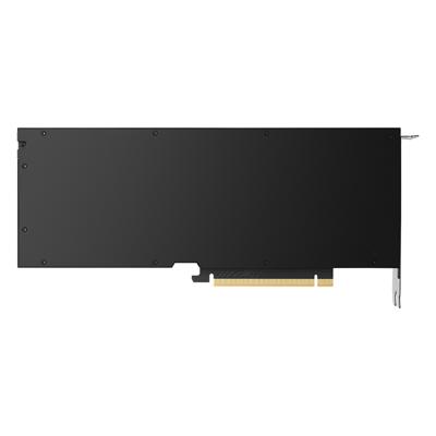 PNY Nvidia GeForce RTX 5000 Videokaart 32 GB GDDR6-RAM PCIe x16 DisplayPort