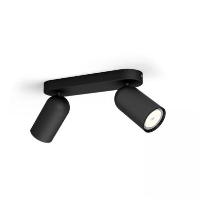 Philips OpbouwspotPongee 2-lichts zwart - 5058230PN