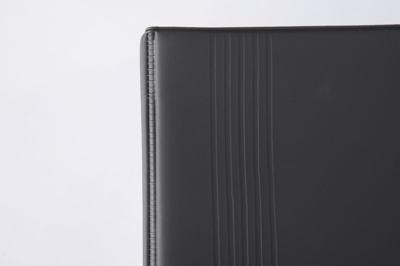 Sigel VZ300 Visitekaart ringboek 200 kaarten (b x h x d) 147 x 265 x 44 mm Zwart (mat) Kunststof