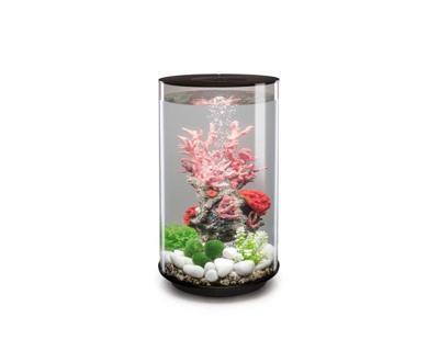 biOrb Tube 30 MCR zwart Oase - Oase biOrb Tube 30 MCR zwart Oase - Oase