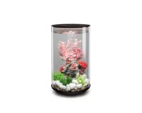 biOrb Tube 30 MCR zwart Oase - Oase - thumbnail