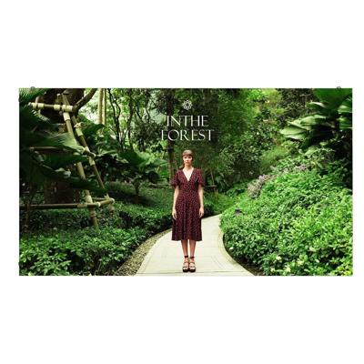 Videowall Monitor LG LED CABINET 1.5 4K Ultra HD