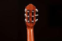 Ortega Tiger Series RGLE18FMH Guitarlele met gigbag - thumbnail