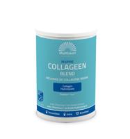 Mattisson HealthStyle Marine Collageen Peptan® Blend MSC - thumbnail