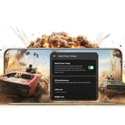 realme 14 Pro Plus 12 + 512 GB DS 5G Nebula Purple OEM