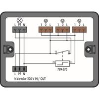 WAGO 899-681/100-000 Verdeeldoos 899 25 A Wit 1 stuk(s) - thumbnail