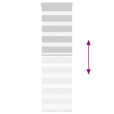 VidaXL Zebra rolgordijn 45x100 cm stofbreedte 40,9 cm lichtgrijs