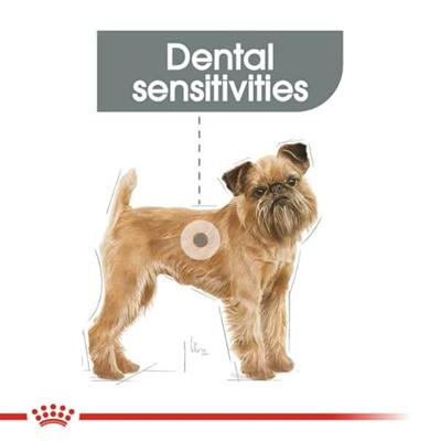 Royal Canin Dental Care Mini hondenvoer 2 x 8 kg Royal Canin Dental Care Mini hondenvoer 2 x 8 kg