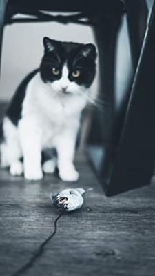 Aime Kattenspeelgoed hengel visserij 15 cm