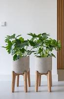 Plantenpot Charlie M (Feet High) grijs 23x23x38cm - thumbnail