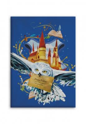 Harry Potter fleece plaid Air mail 100 x 140 cm - polyester
