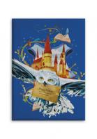 Harry Potter fleece plaid Air mail 100 x 140 cm - polyester - thumbnail