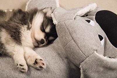 BZ PUP XL-KNUFFEL BOOMBA GRS 70X40 - thumbnail