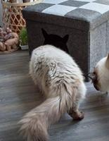 Let&apos;s sleep Pet Cube Licht/Donker Grijs - thumbnail