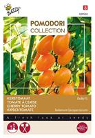 Zaden Pomodori Dolly F1 Buzzy - Buzzy - thumbnail