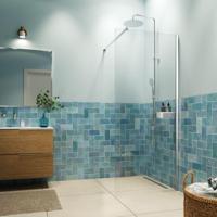 Sealskin Inloopdouche type A3 met douchemand Inc. 90x200 cm Zilver hoogglans - thumbnail