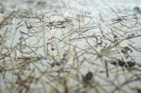 Stars of Light Tafellampje TripodHontongas hout met beige kap - 390325 - thumbnail