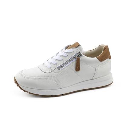 Paul Green 4085 - alle