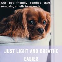 Beloved pure candle kaars - thumbnail