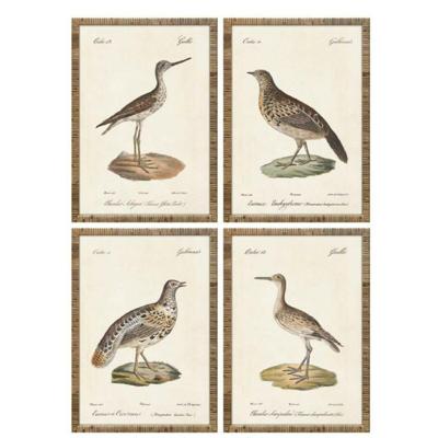 Schilderij Home ESPRIT Beige Vogels Cottage 40 x 2,5 x 50 cm (4 Stuks)