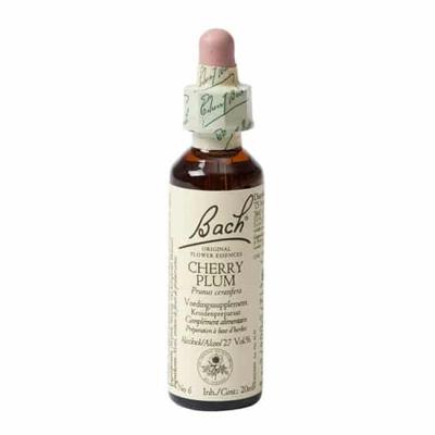 Bach Flower Remedies Kerspruim 06