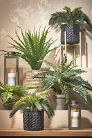 Decoratieve plant Mica Decorations Keramisch Palmboom (11,5 x 33 cm) - thumbnail