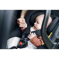 Basis Hauck - thumbnail