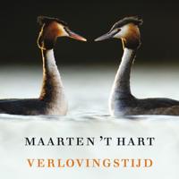 Verlovingstijd - thumbnail