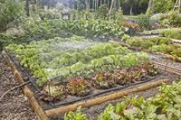 GARDENA micro-drip-bewatering moestuin/bloembed set (60 m²) druppelaar (zwart/grijs) - thumbnail