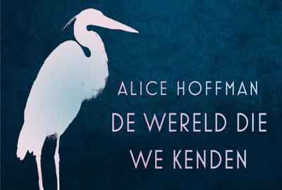 De wereld die we kenden - Alice Hoffman - Dwarsligger (9789049808020)
