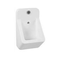 Urinoir BWS Toon 35,7x64 cm Met Sensor Wit - thumbnail