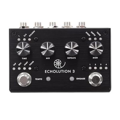 Pigtronix Echolution 3 Stereo Multi-tap Delay