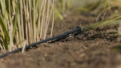 Druppelirrigatiesysteem Gardena