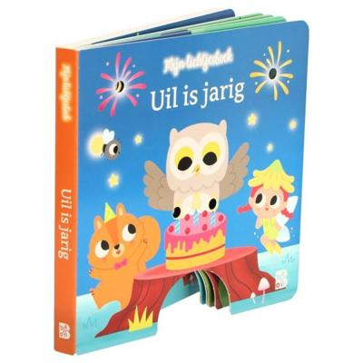 Boek Uil Is Jarig Lichtjesboek