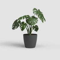 Vaso - ARTEVASI - SAN REMO - 30 ma - Antracite - thumbnail