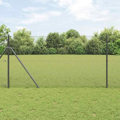 Gelaste draadhek Grijs 1.2 x 50 m Staal