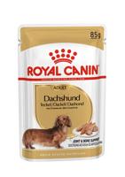 Royal Canin Adult Dachshund (Teckel) natvoer hond (paté) 2 dozen (24 x 85 g) - thumbnail