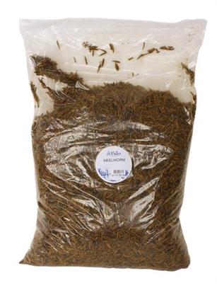 DE VRIES SOLDIER FLY MEELWORM 5 KG DE VRIES SOLDIER FLY MEELWORM 5 KG