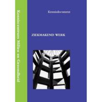 Ziekmakend werk - A. de Lange - Paperback (9789058506078) - thumbnail