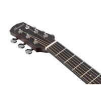 Ibanez AAM700CE Platinum Collection Natural High Gloss elektrisch-akoestische westerngitaar met hardshell case - thumbnail