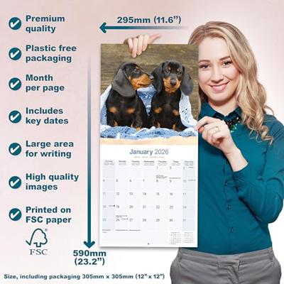 Teckel Kalender 2026