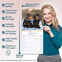 Teckel Kalender 2026 - thumbnail