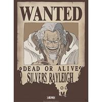 Poster One Piece - Wanted Rayleigh 38x52cm - thumbnail