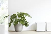 Ecopots Oslo kunststof bloempot Taupe - Ø 42,8 cm - thumbnail