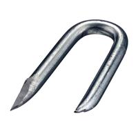 Krammen gegalvaniseerd - 35x3.5mm - 1 kg - thumbnail