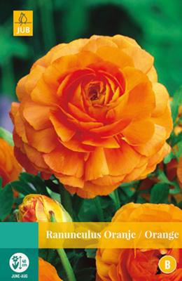 Ranunculus Oranje Bloembol JUB 10 bollen - Jub