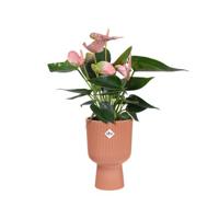 Vibes Fold Coupe dia 14 cm bloempot delicaat roze elho - Elho - thumbnail