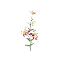 Decostar Gloriosa 82,5 cm aubergine - thumbnail