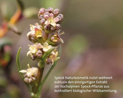 Speick Sun SPF50 Zonnecrème Speick Sun SPF50 Zonnecrème